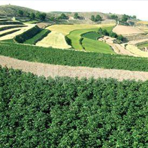 水土保持方案 水土保持方案